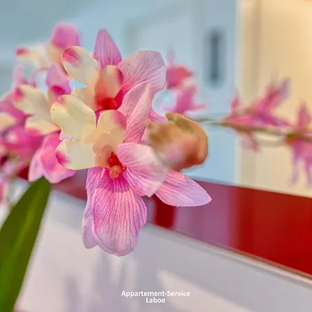 Portland 6 Lejlighed *